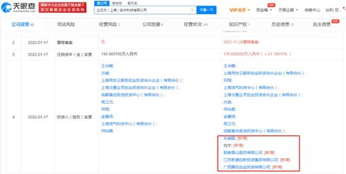 信息技术咨询服务的价值与未来发展