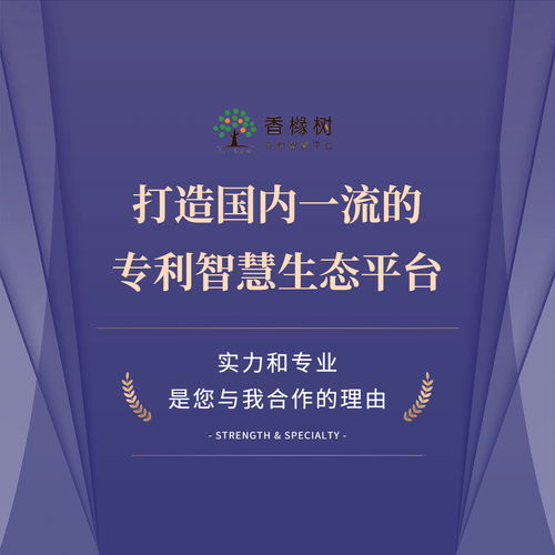 智航科泰携手香橼树 知识产权领域为何青睐专业信息技术咨询服务